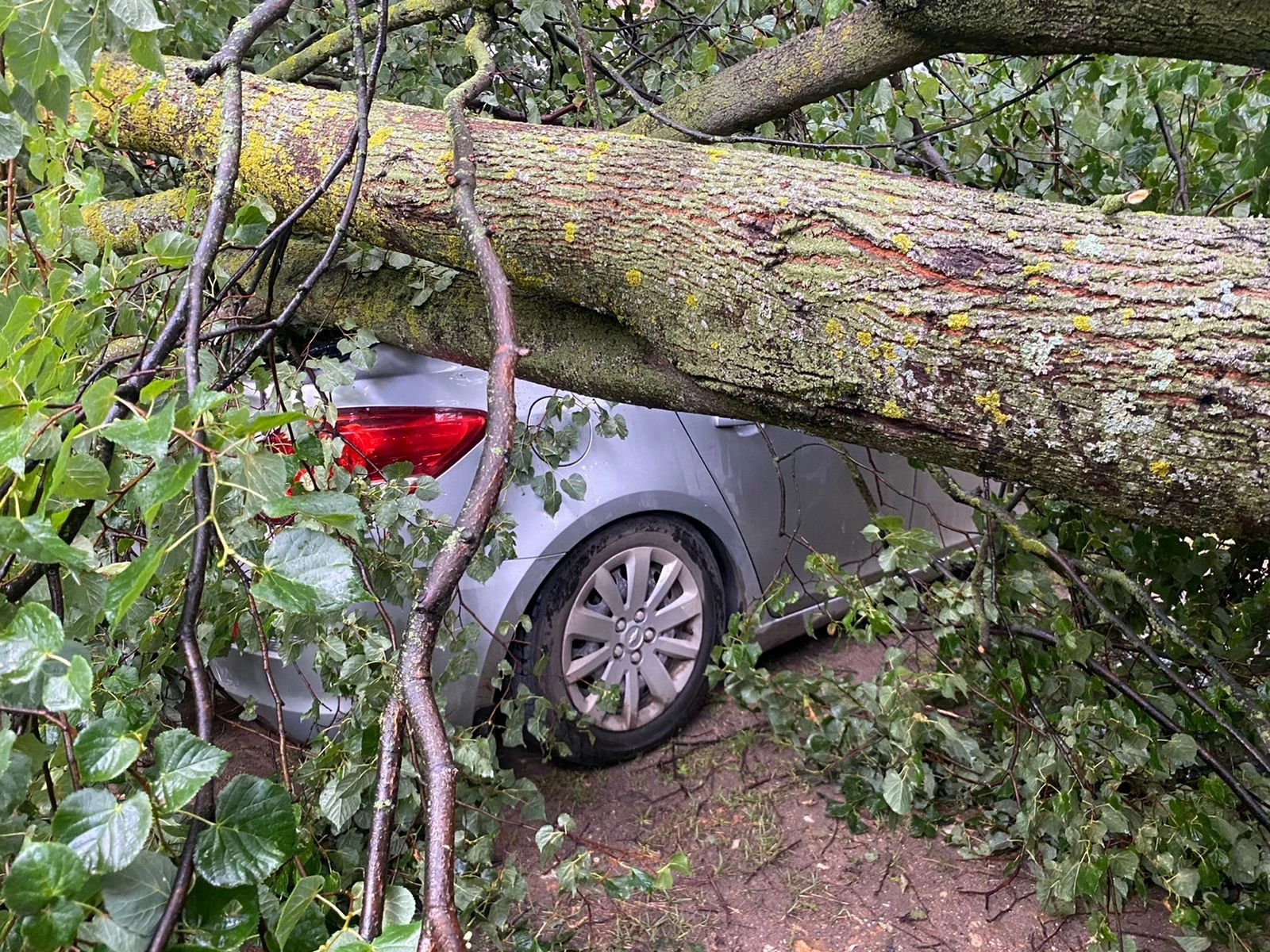 Во Ржеве МЧС ликвидирует последствия стихии Фото: Роман Крылов, МЧС