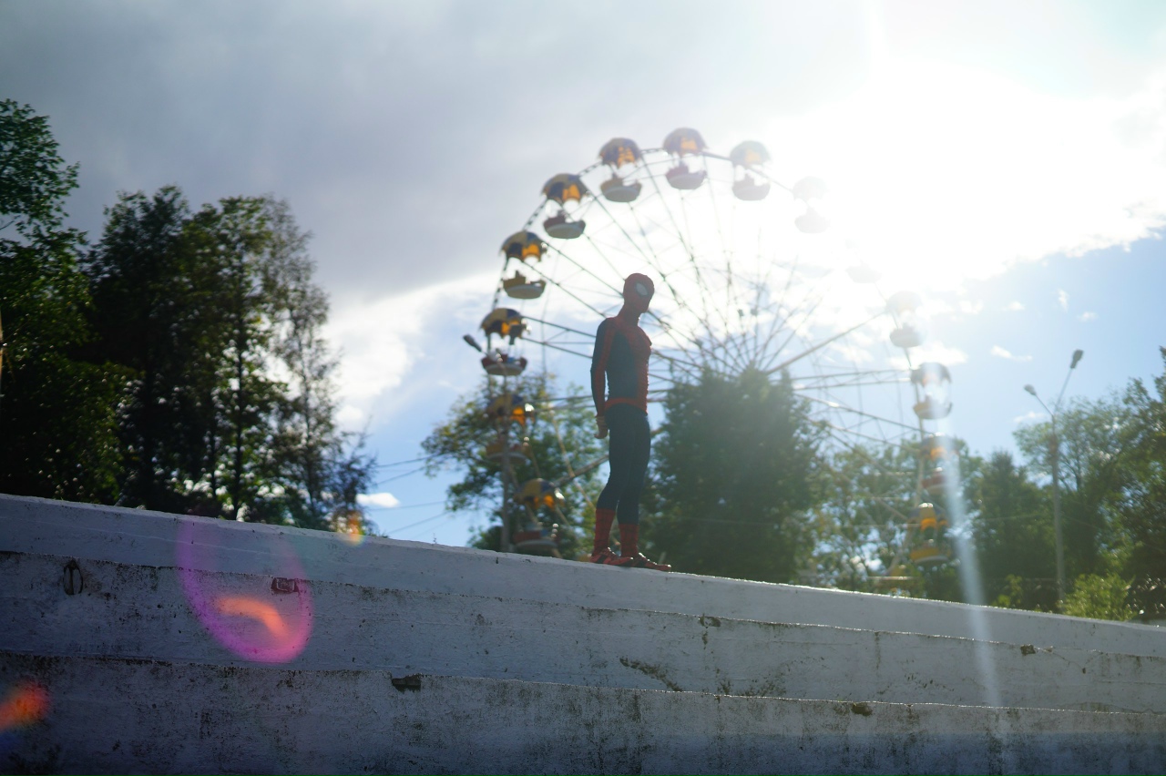 В Городском саду Твери планируется установить современное колесо обозрения Фото: архив редакции