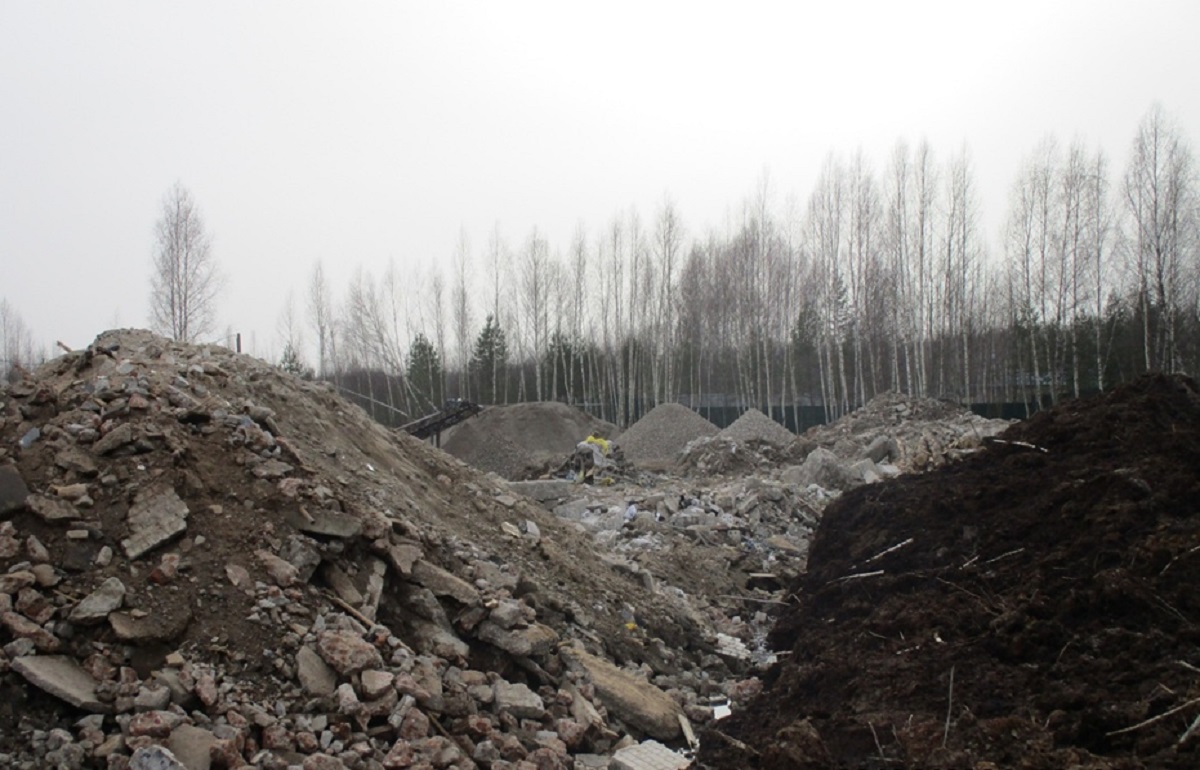 В Твери виновный в организации свалок заплатил почти полмиллиона штрафов - новости Афанасий