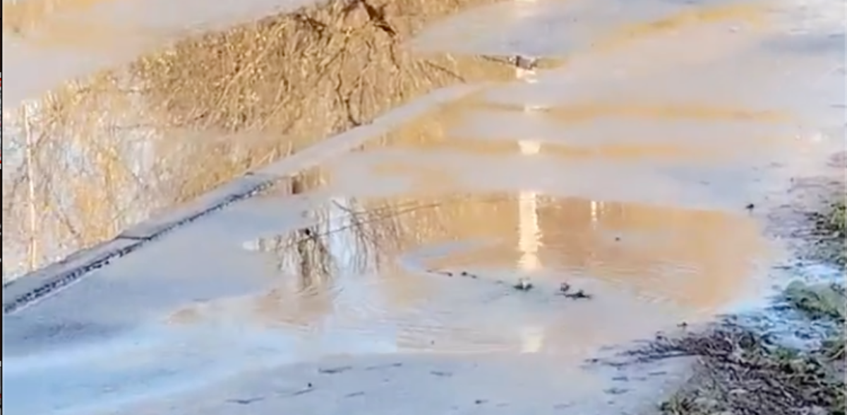 В Конаково нечистоты затапливают тротуар и дорогу Видео: соцмедиа