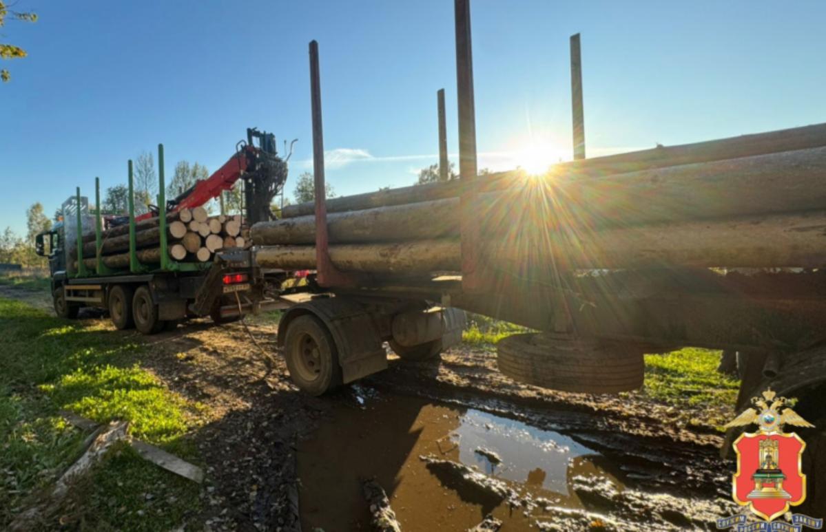 Житель Тверской области напилил леса на 1,4 млн рублей и уголовное дело - новости Афанасий