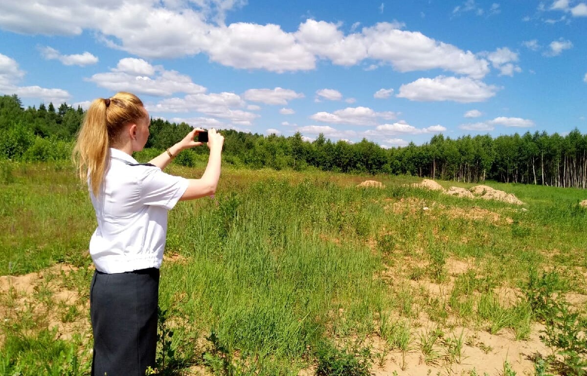 После предписания Россельхознадзора введено в сельхозоборот 135 га земель Фото: Россельхознадзор