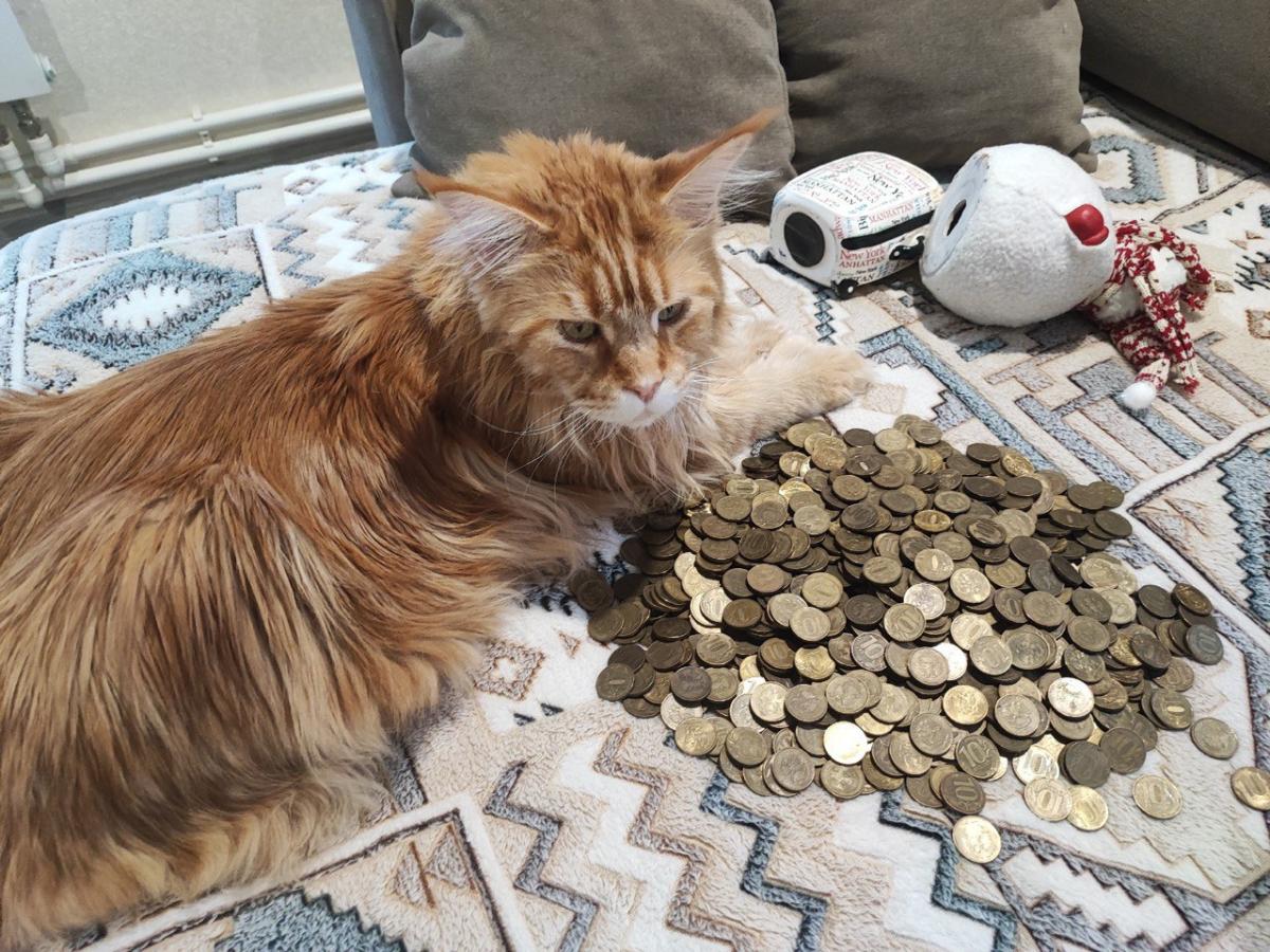 Жители Тверской области сдали в банки больше 1 млн монет 