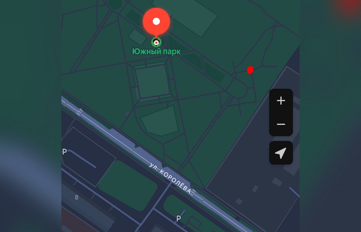 Удар током получила собачница во время прогулки в Южном парке Твери Фото: соцмедиа