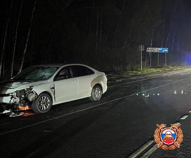 Под Тверью на трассе Р-132 погиб пешеход Фото: ГАИ