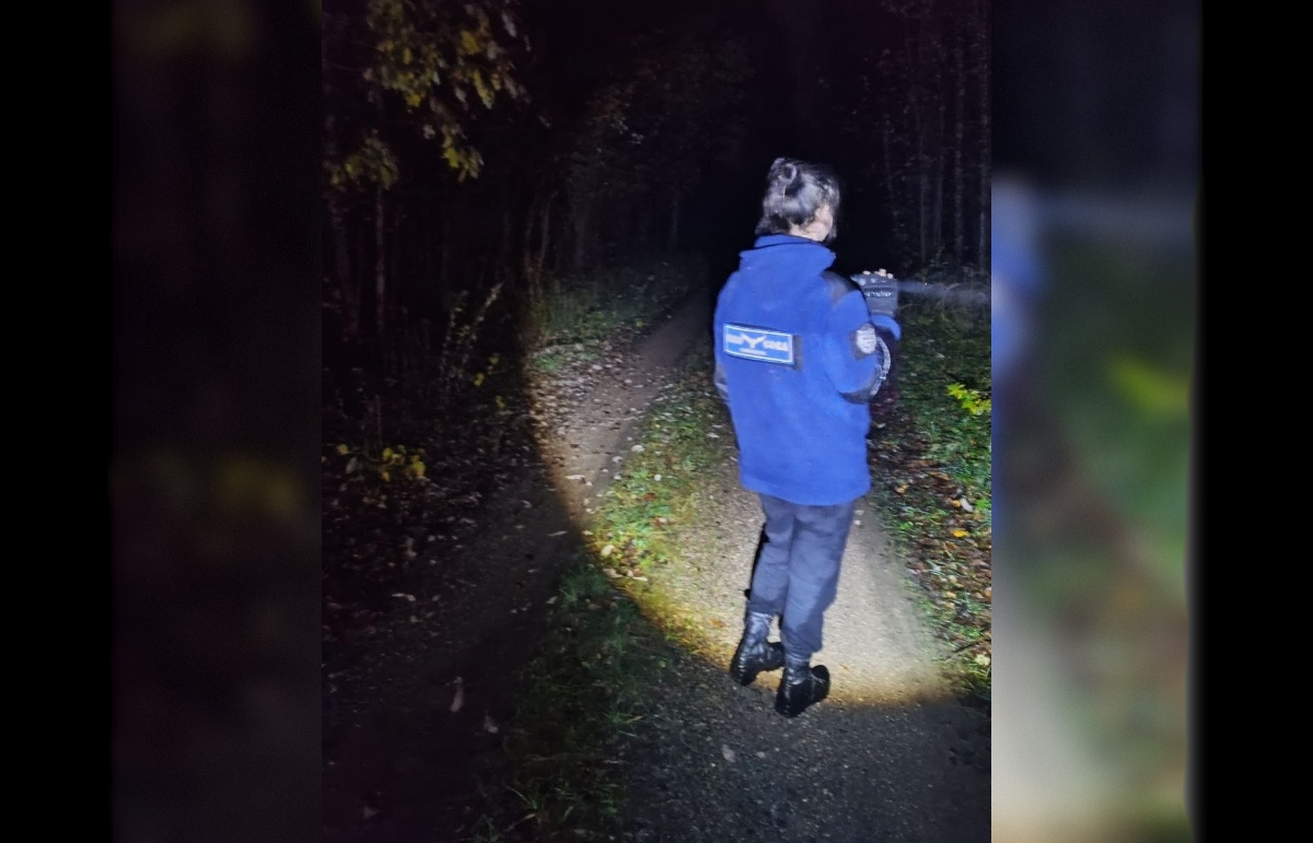 Пенсионерка пережила ночь в лесу в Тверской области благодаря собакам Фото: ВПСО "Сова"