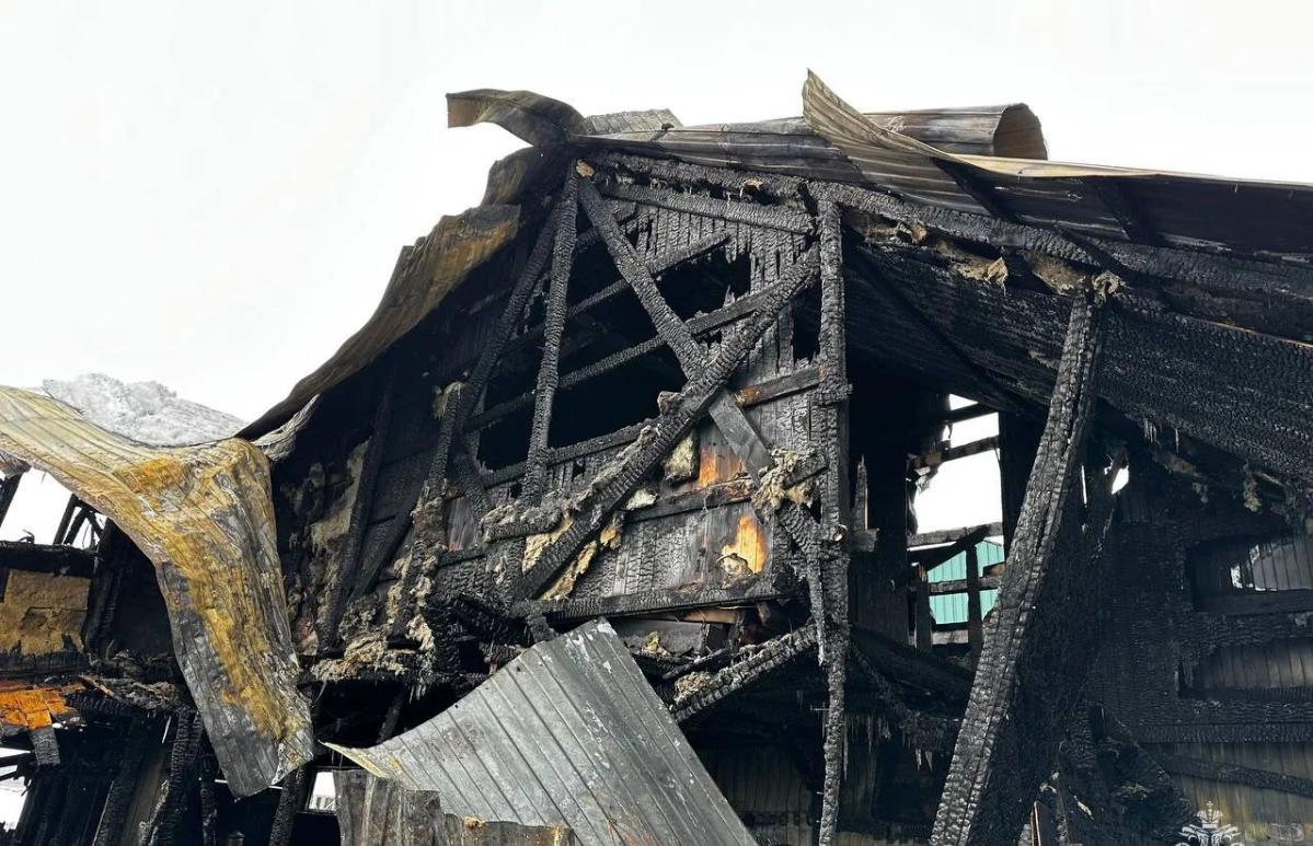 Причиной пожара на лодочной пристани под Кимрами стал поджог - новости Афанасий