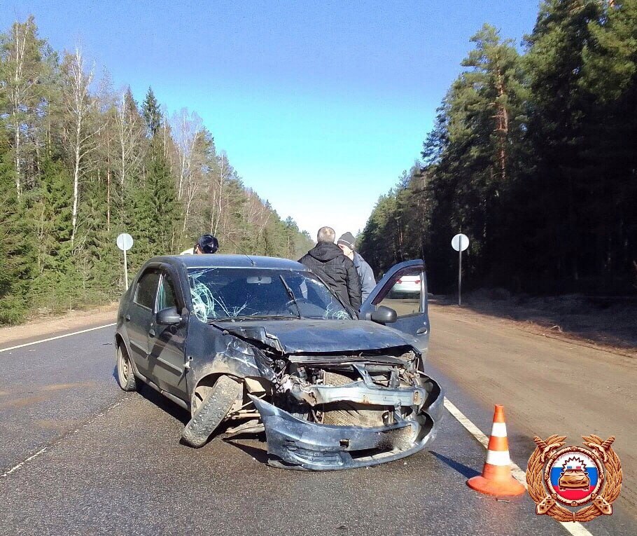 Под Торопцем женщина пострадала в ДТП на встречке - новости Афанасий