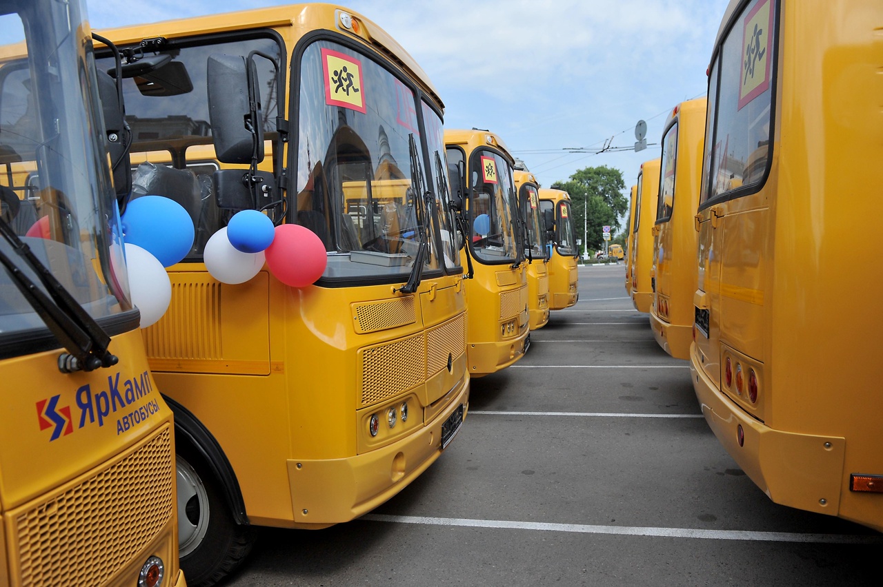 Четверо детей из Старицкого района не могли добраться до школы - новости Афанасий