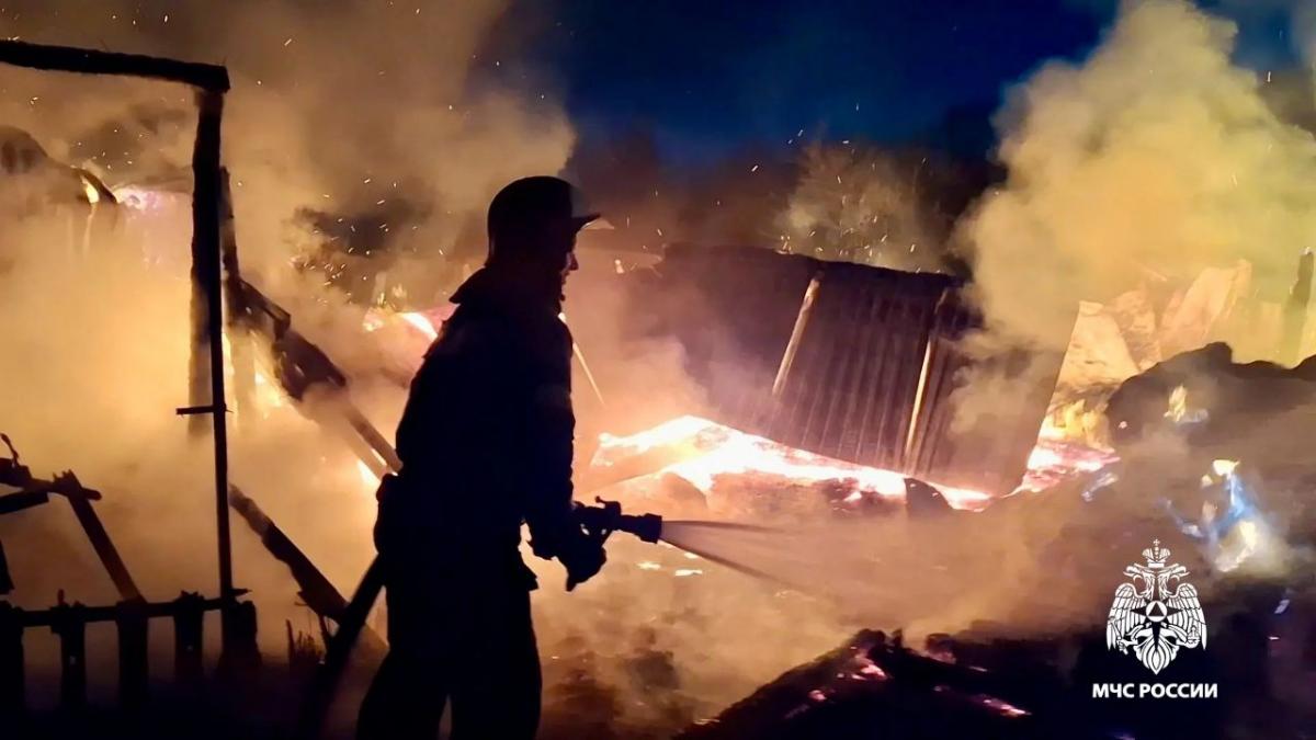 Больше 40 животных погибли на пожаре в Осташковском округе Фото: МЧС