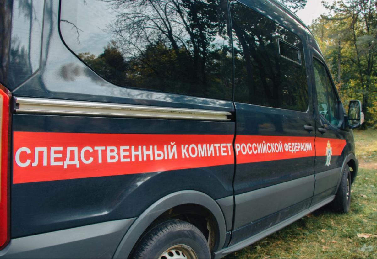 Двух подруг подозревают в убийстве третьей в СНТ под Тверью