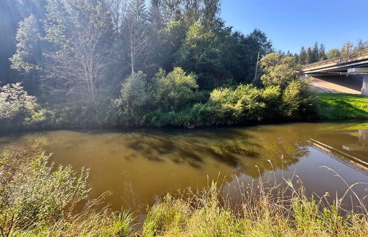 Мужчина утонул в реке Межа под Нелидово  - новости Афанасий