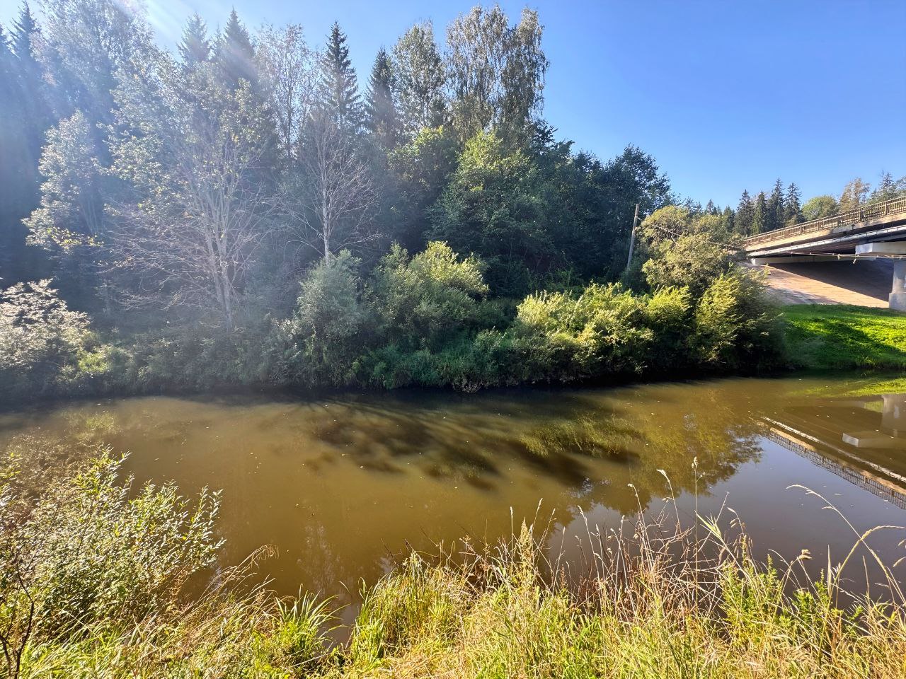 Мужчина утонул в реке Межа под Нелидово  Фото: СУ СК РФ по Тверской области