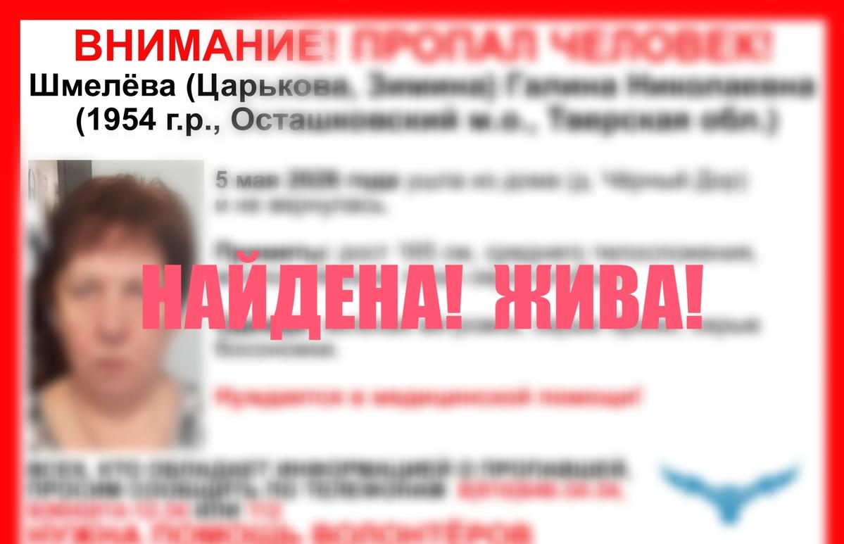 Завершился поиск пенсионерки, пропавшей в Осташковском округе - новости Афанасий