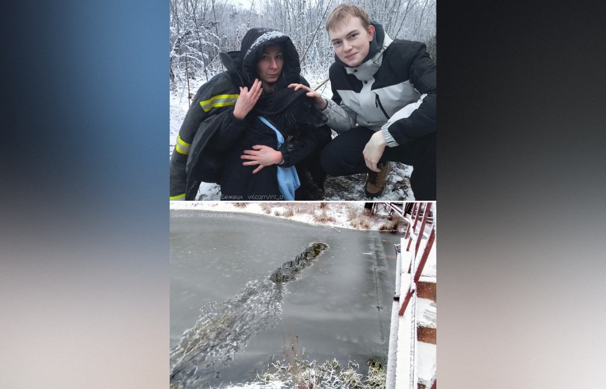 Прохожие спасли собаку, провалившуюся под лед в Бежецке - новости Афанасий