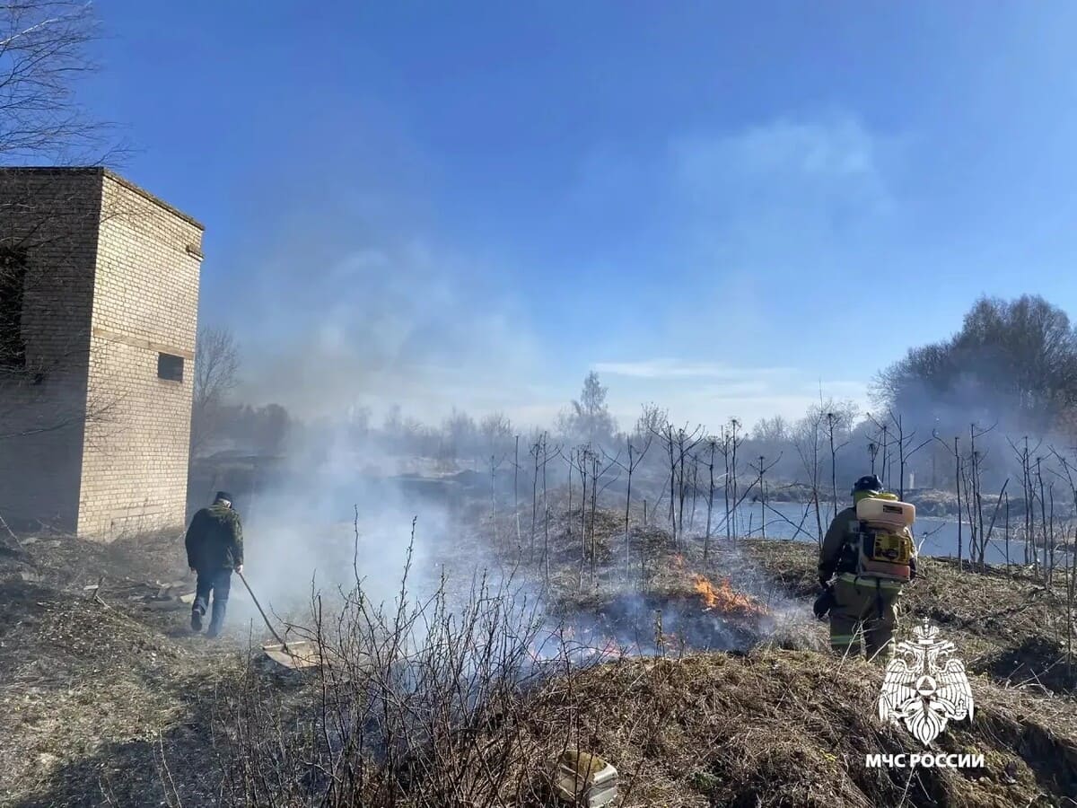 Еще 21 га в Тверской области сгорел из-за пала травы Фото: ГУ МЧС России по Тверской области