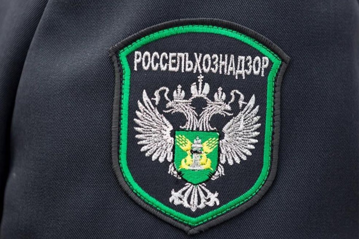 Тверские студенты проходят практику в Россельхознадзоре