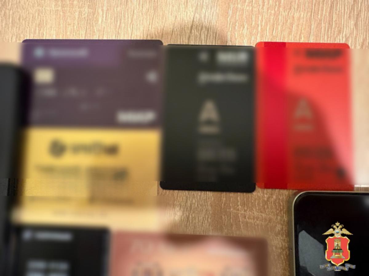 Задержаны мошенники, продавшие тверитянину несуществующий мини-экскаватор Фото: УМВД Тверской области