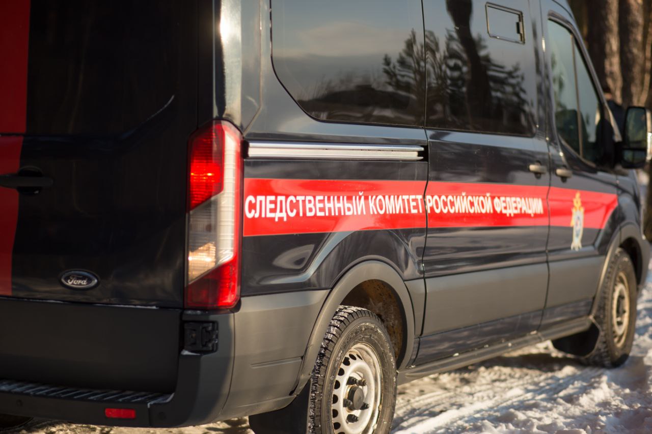 Бастрыкин взял на контроль ситуацию с Мыльцевским бором под Кимрами в Тверской области Фото: архив редакции