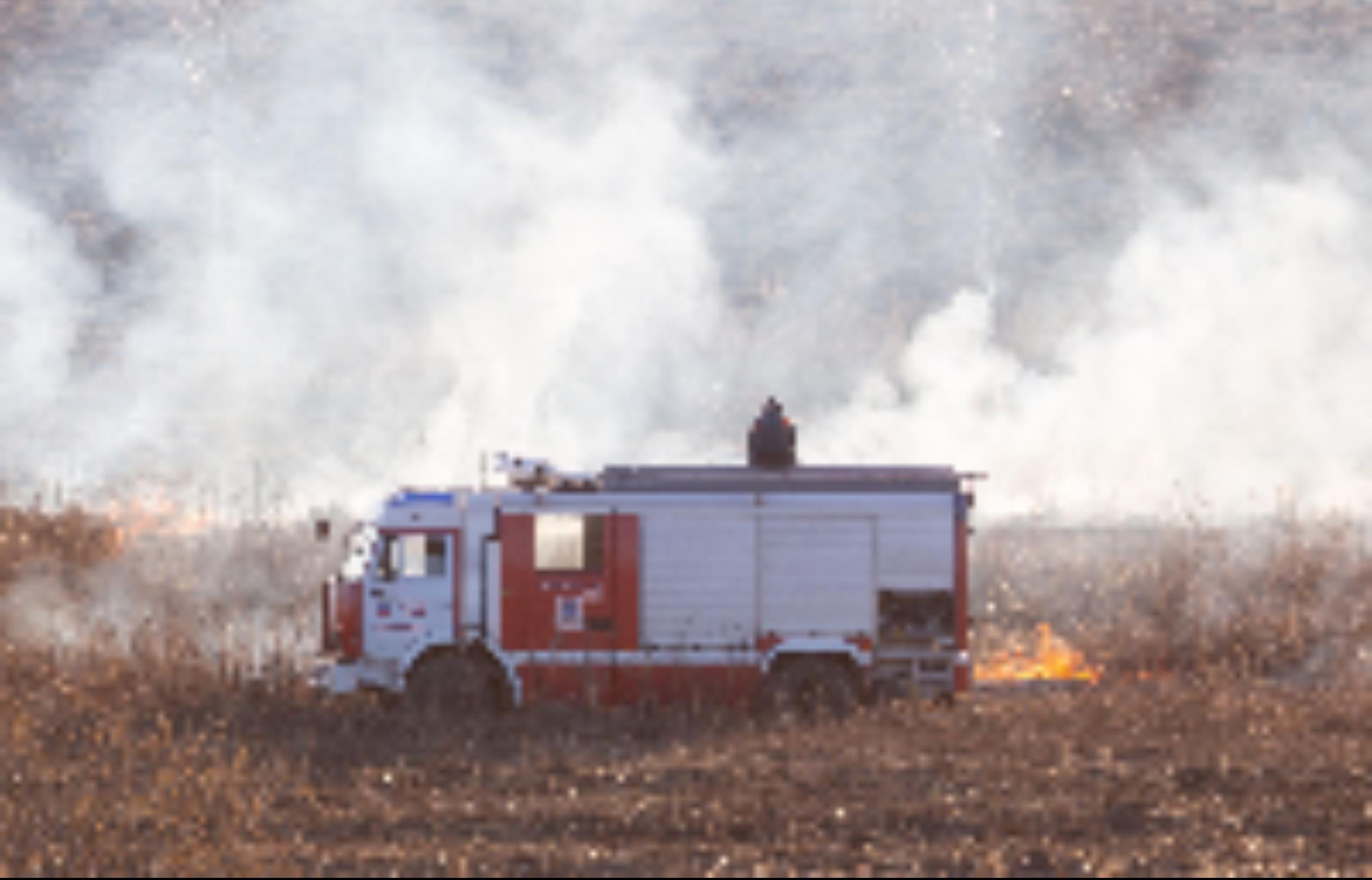 В Тверской области начала гореть трава - новости Афанасий