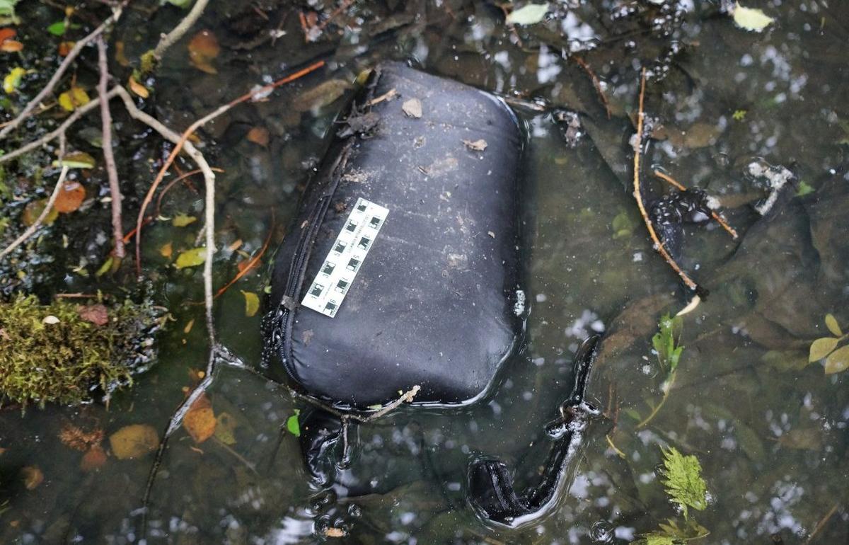 Вынесен приговор по делу об изнасиловании и убийстве 18-летней девушки в Лихославльском округе Фото: СУ СК РФ по Тверской области, на снимке - сумочка убитой девушки