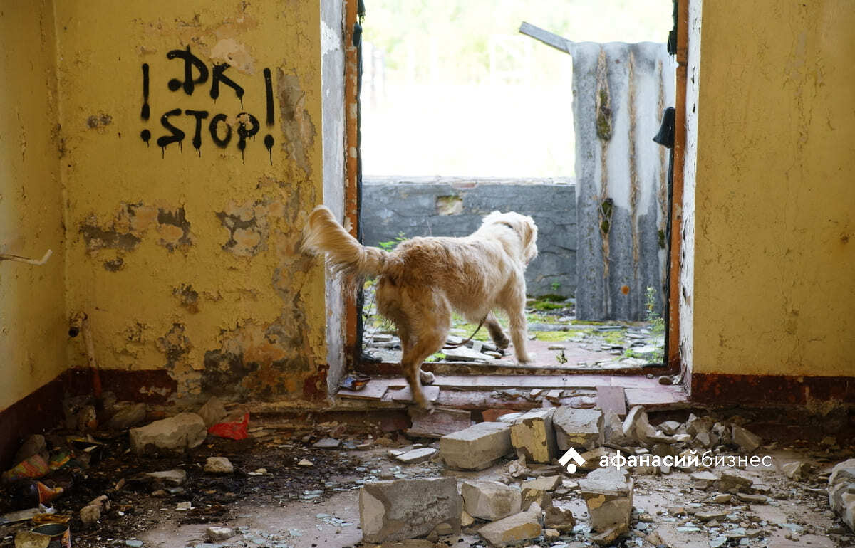 В Старицком районе закроют доступ в заброшенную школу - новости Афанасий