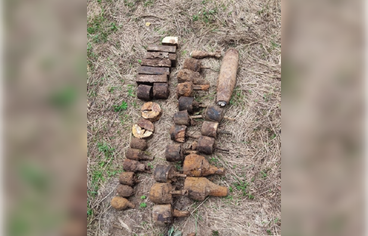 Целый арсенал времен ВОВ обнаружен в Оленинском районе - новости Афанасий