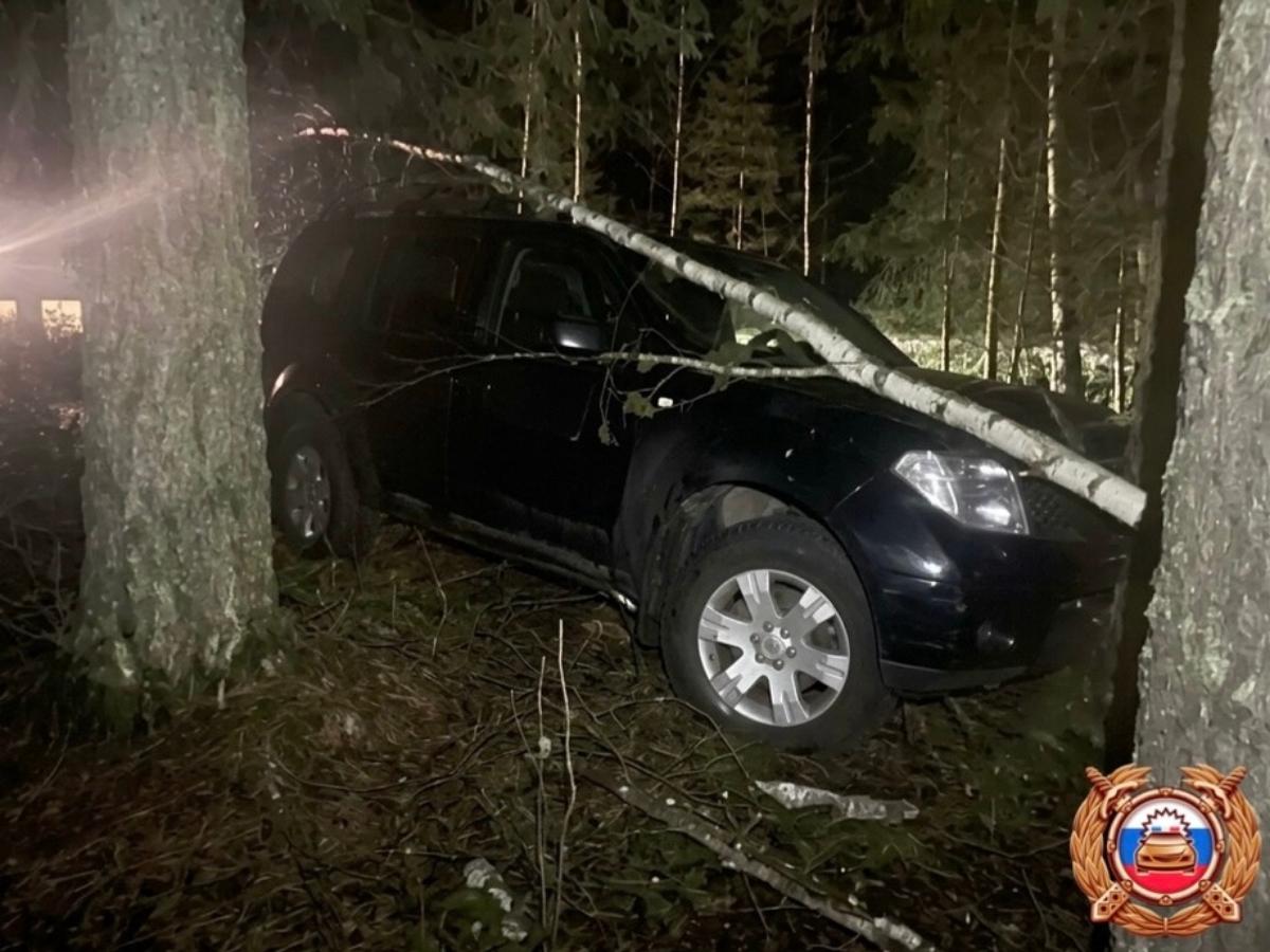 16-летняя автомобилистка без прав устроила ДТП с пострадавшими под Удомлей Фото: ГАИ