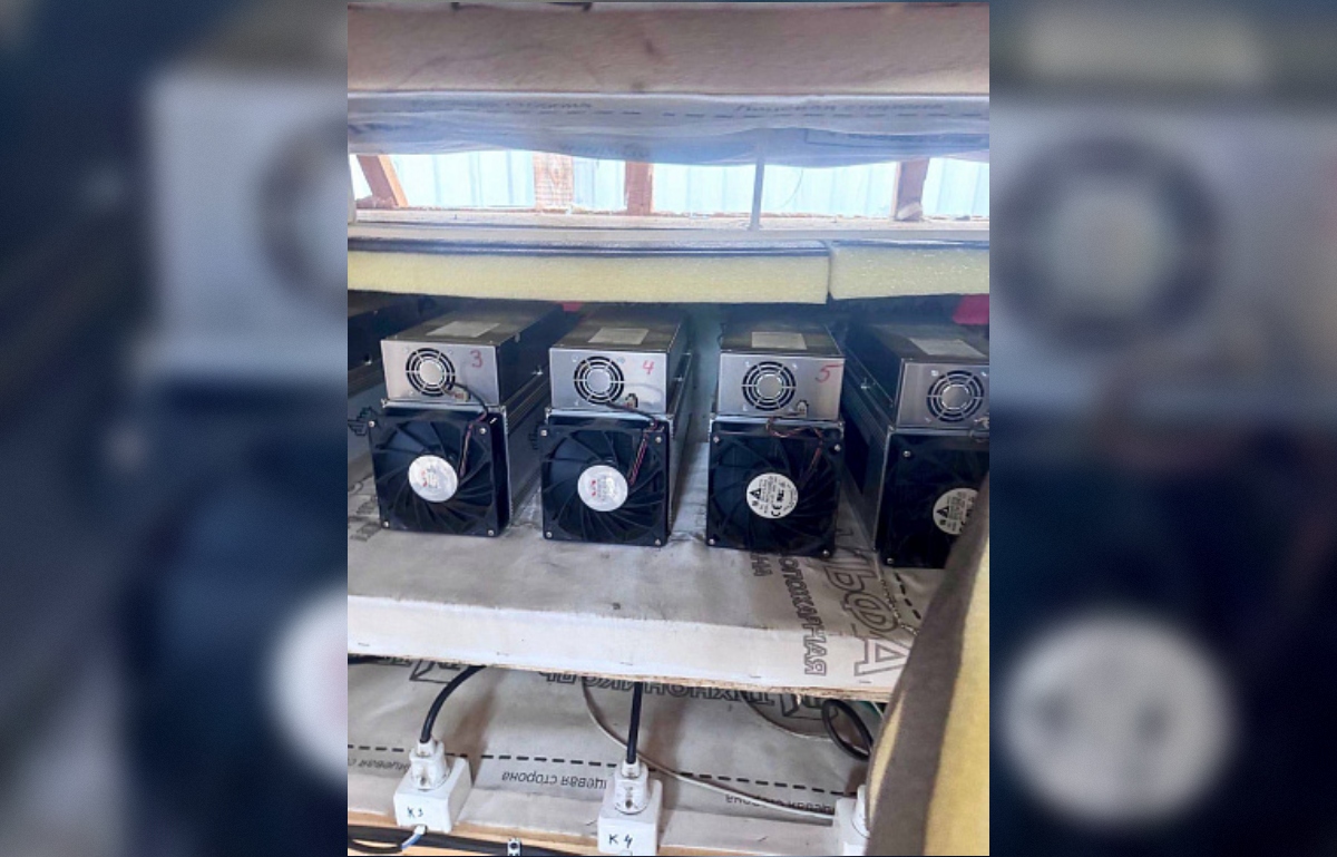 Опубликовано видео с майнинговой фермы под Тверью - новости Афанасий