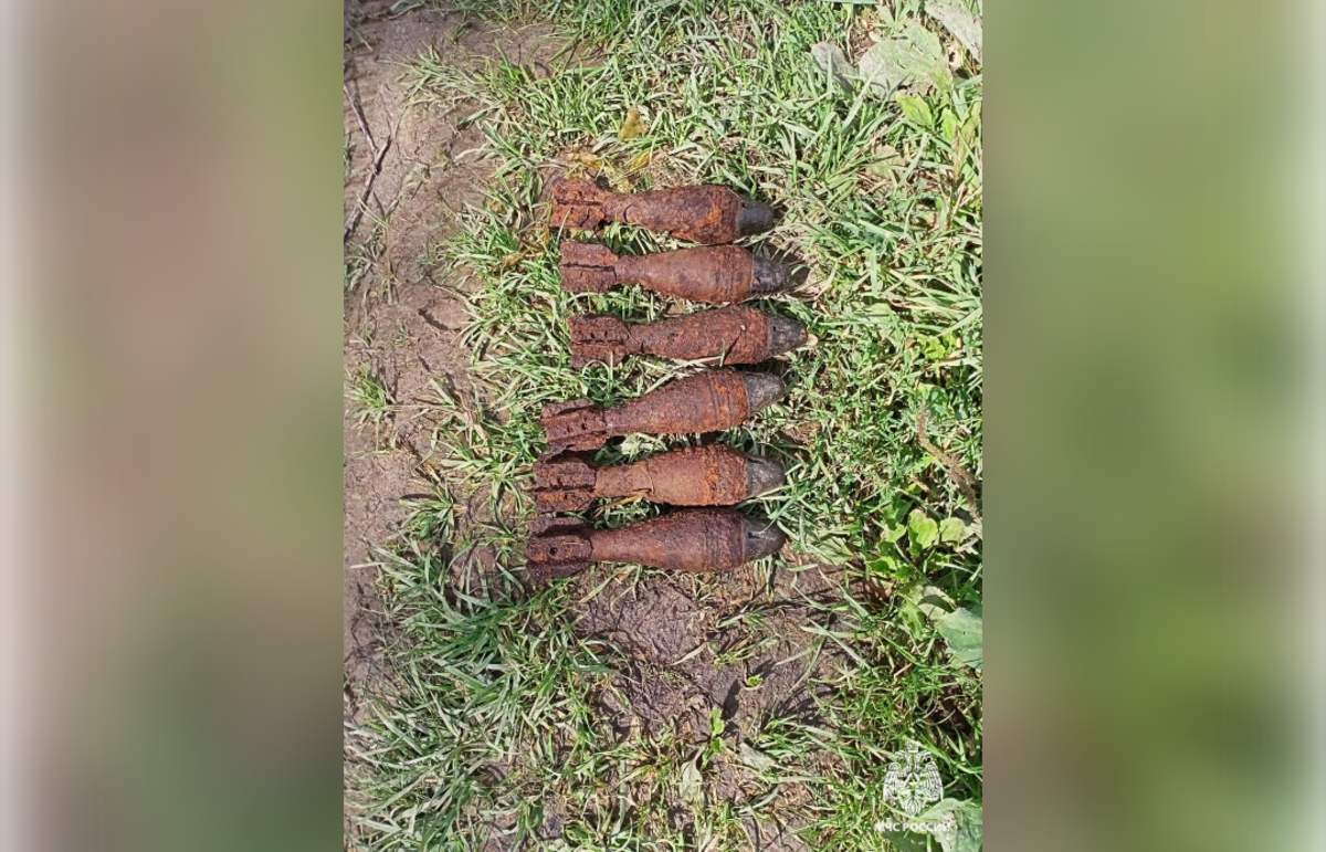 В Тверской области нашли шесть минометных мин времен войны Фото: МЧС Тверской области