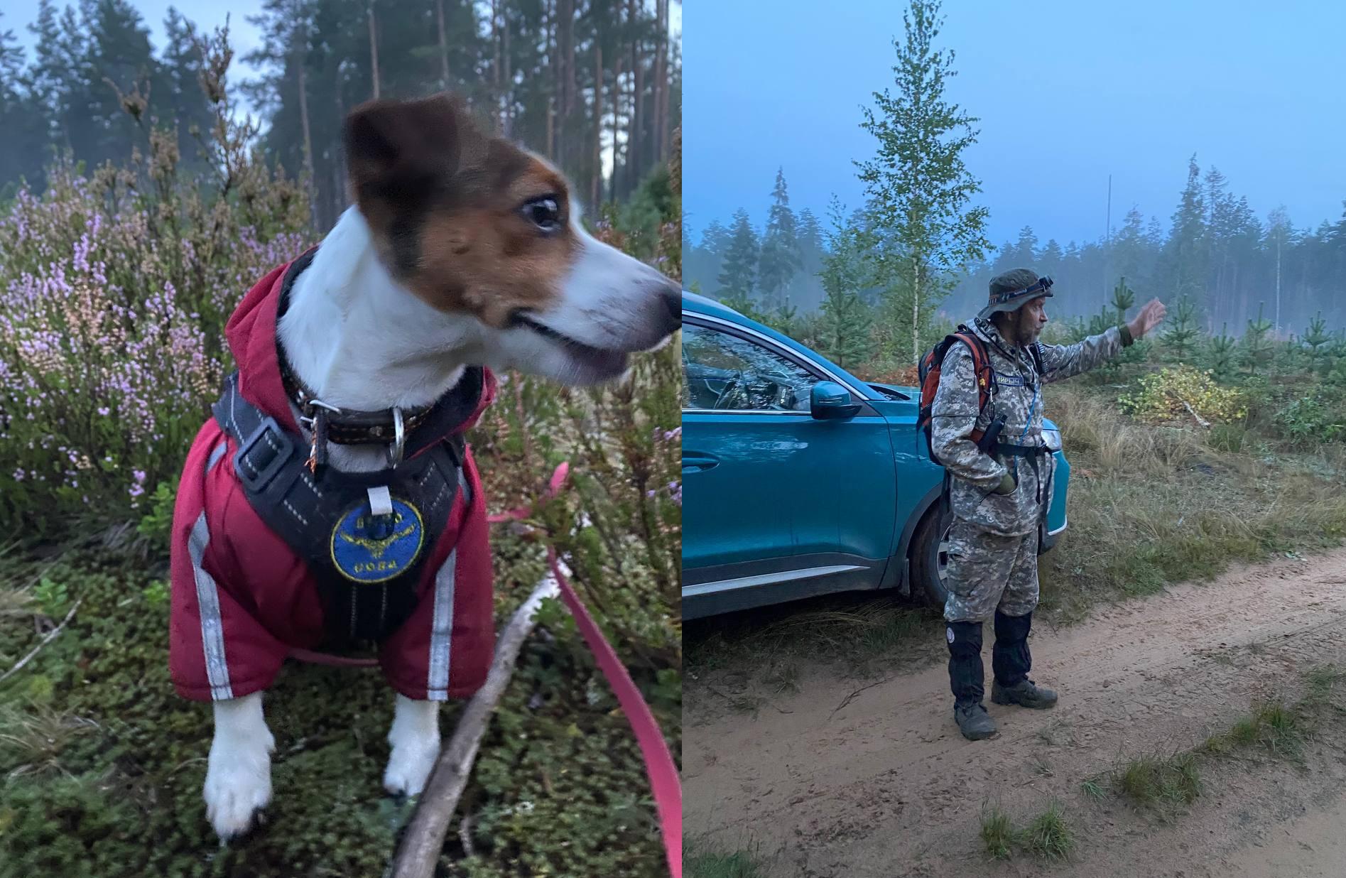 Тверские волонтеры провели двое суток в лесах у «соседей» в поисках потерявшегося мужчины Фото: ВПСО "Сова"