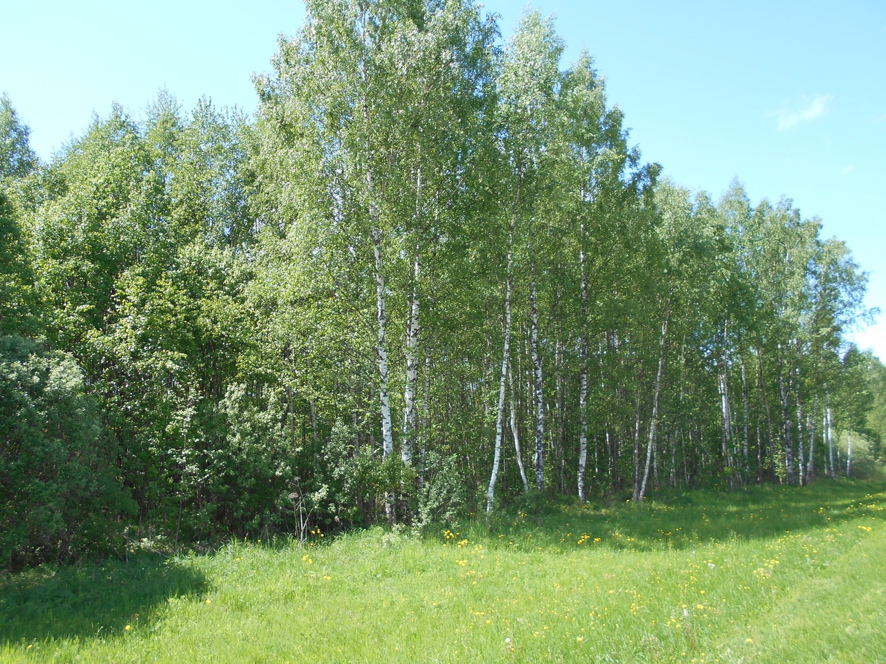 В Тверской области у владельца по суду изъяли 6,9 Га неиспользуемой пашни Фото: Управление Россельхознадзора по Тверской и Ярославской областям