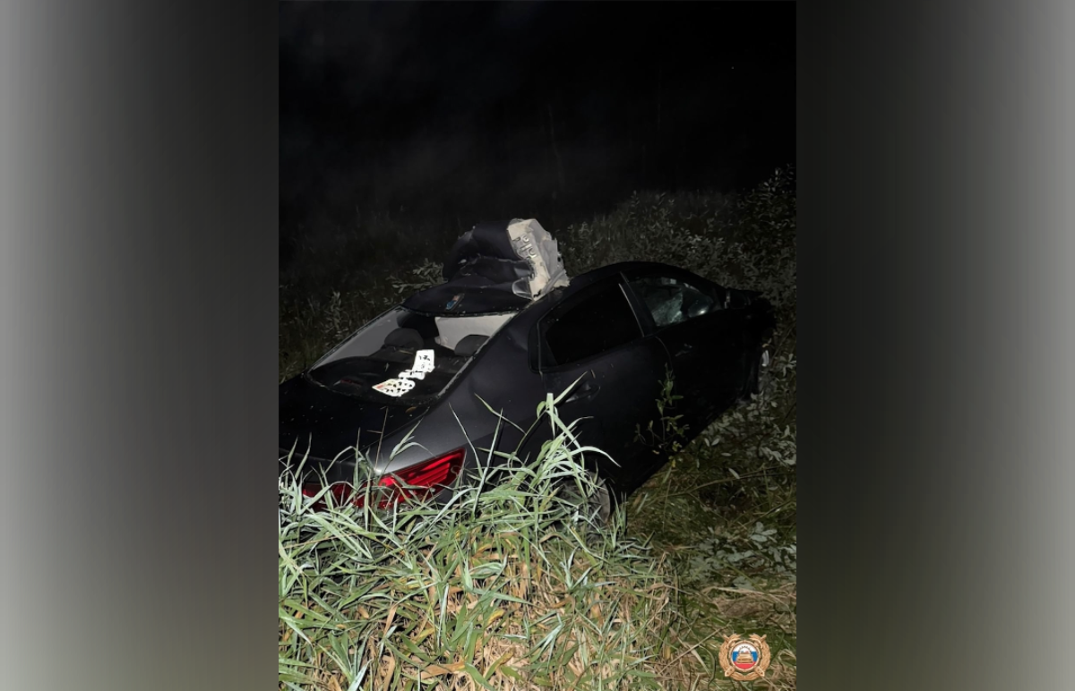 В ДТП с лосем в Тверской области пострадал человек Фото: Бежецкая Госавтоинспекция