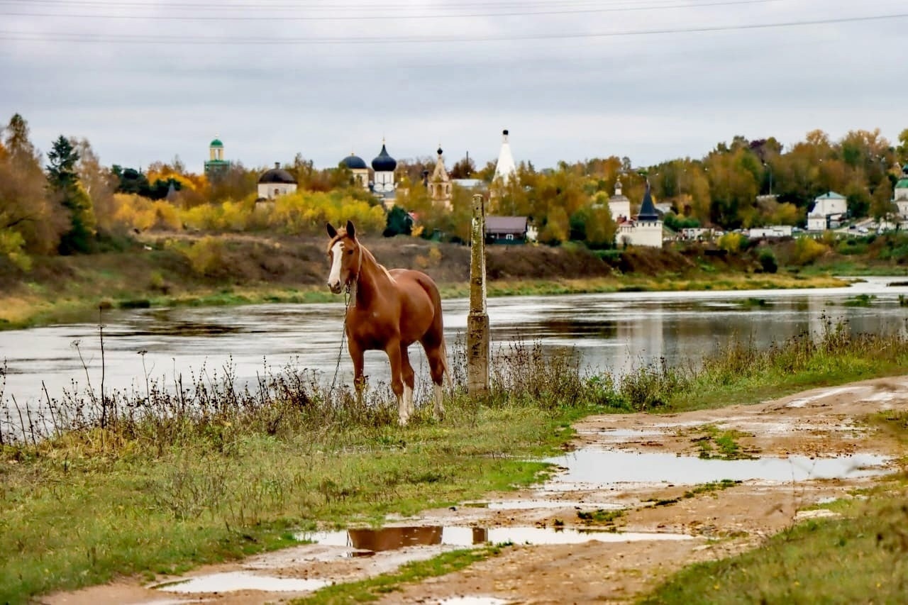 В Тверской области  в оборот вовлечено более 119 гектаров сельхозугодий 