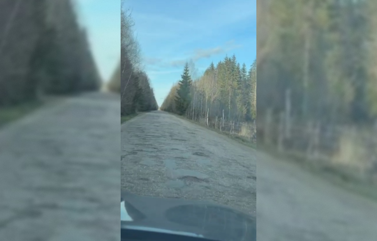 «Творится катастрофа»: жители Селигера пожаловались на состояние дороги Сорога - Святое 