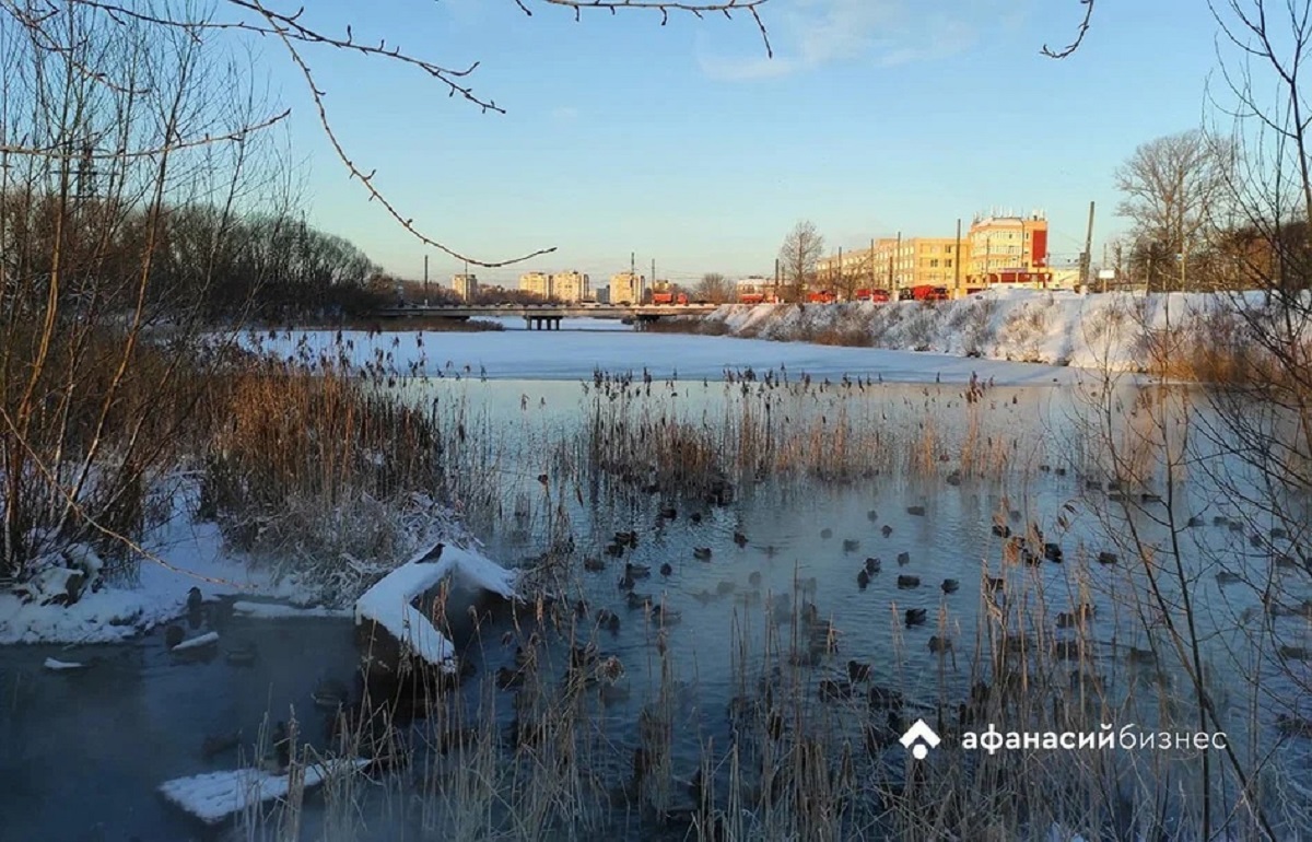 В Тверской области начинается затяжная оттепель Фото: архив Afanasy.biz