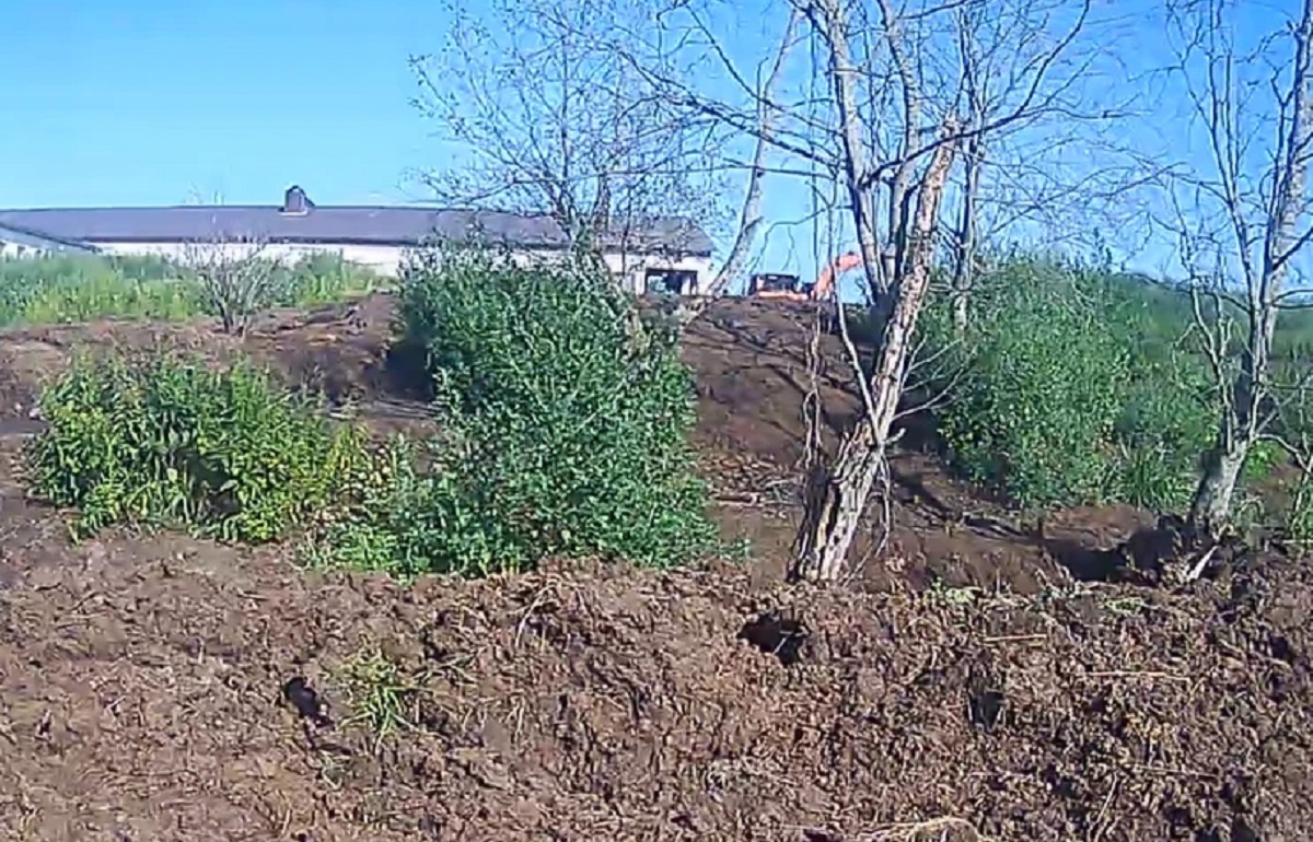 На берегу реки в Рамешковском районе складировали навоз Фото: Минприроды Тверской области
