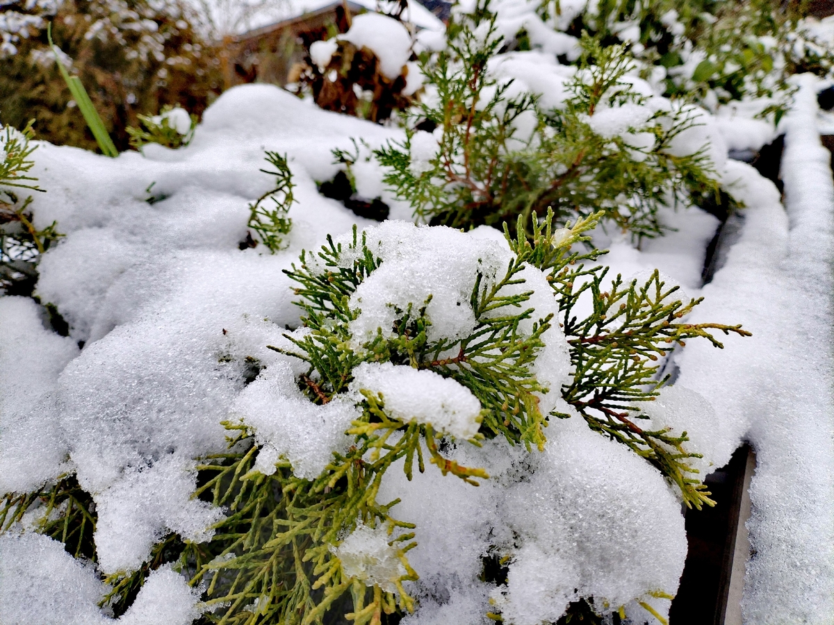 Сегодня в Твери столбик термометра приближается к нулю
