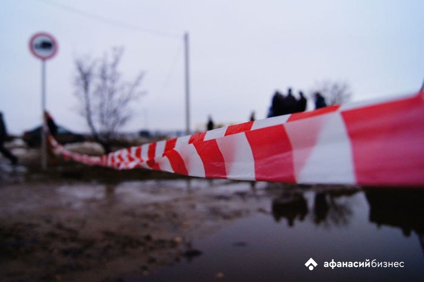 Стая собак насмерть загрызла мужчину в Якутии