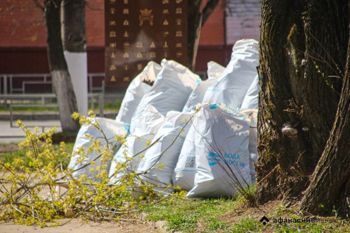 Мусор на даче нужно утилизировать по правилам