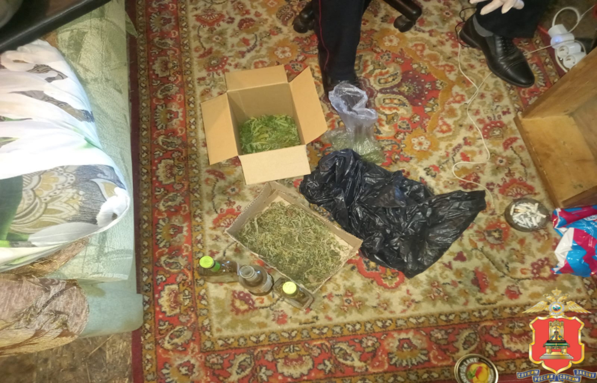 У 22-летнего жителя Тверской области нашли запасы марихуаны - новости Афанасий