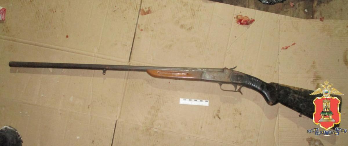 В Тверской области задержали мужчин, убивших молодого лося Фото: УМВД Тверской области