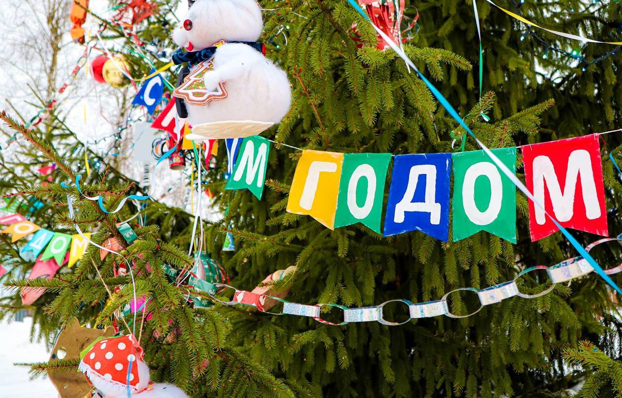 Жители Тверской области могут поддержать Верхневолжье в финале конкурса Минстроя РФ на лучшую новогоднюю ёлку - новости Афанасий