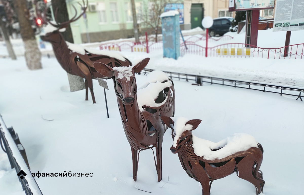 Прогноз погоды в Твери обещает еще немного снега и морозов до -20 Фото: Afanasy.biz