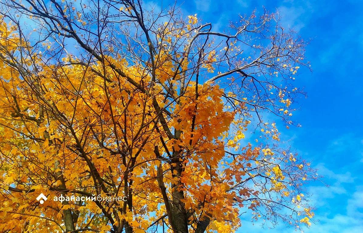 Земля почти вышла из зоны влияния корональной дыры