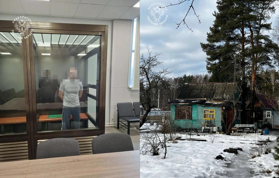 Гособвинение просит 19 лет колонии для убийцы пожилых супругов в СНТ под Тверью - новости Афанасий