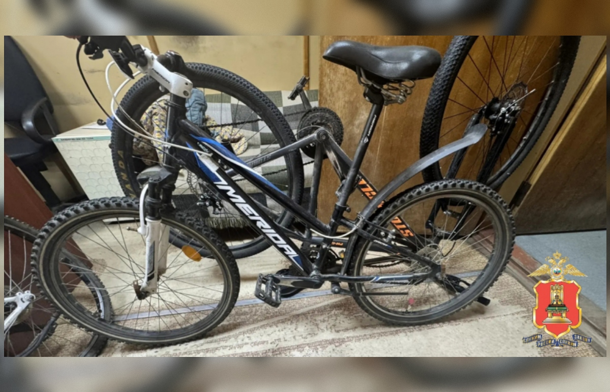 В Нелидово задержали серийных угонщиков велосипедов - новости Афанасий