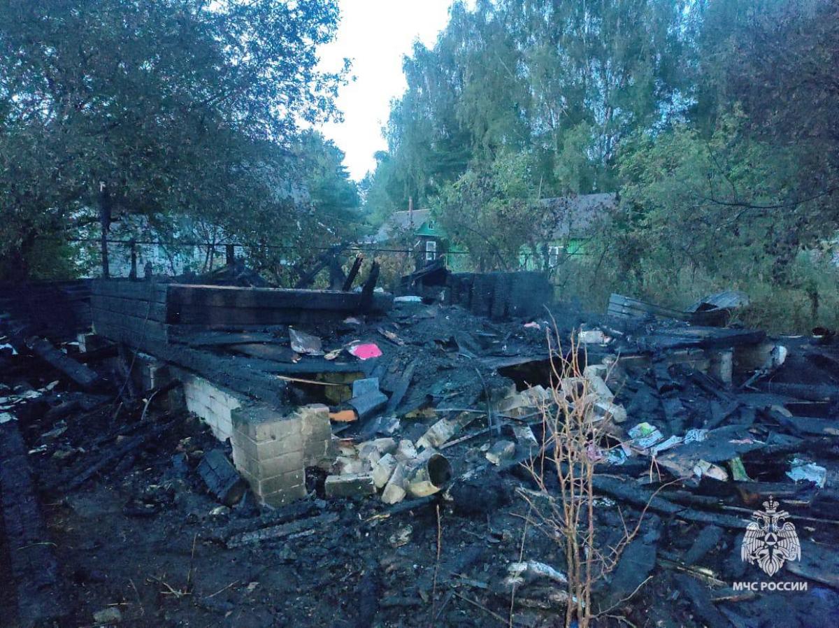 В МЧС назвали предварительную причину пожара с пострадавшим в СНТ под Тверью