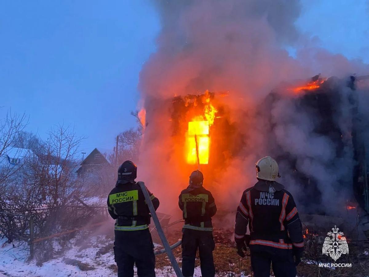 На пожаре в деревне Ярково под Тверью погиб человек Фото: МЧС