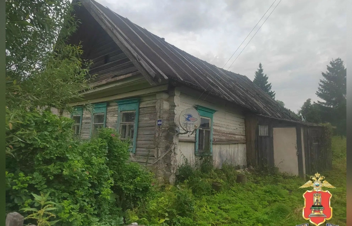 Иностранная гражданка жила на родине, а деньги на детей получала в Рамешках - новости Афанасий